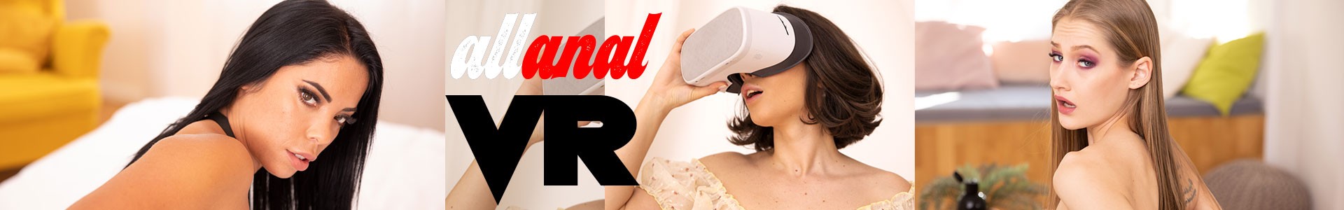All Anal VR Studio
