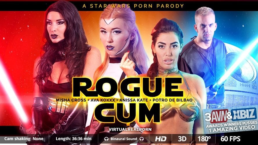 Rogue Cum VR Orgy with Anissa Kate