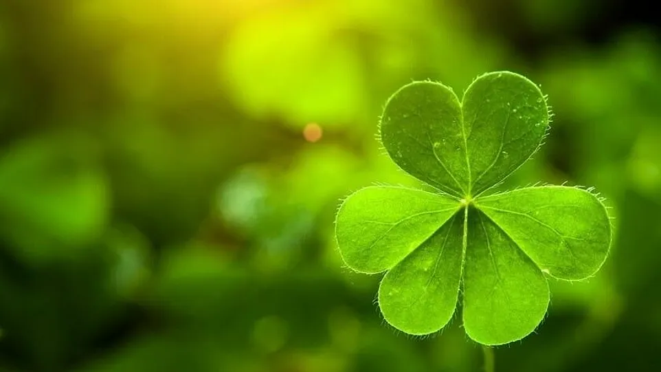 St. Patrick’s Day: The history behind the luck