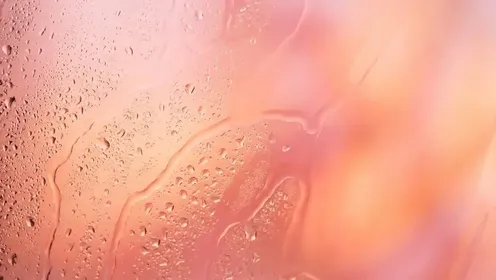 Is Getting Too Wet During Sex a Real Problem? Here's What You Need to Know