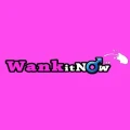 WankitNowVR