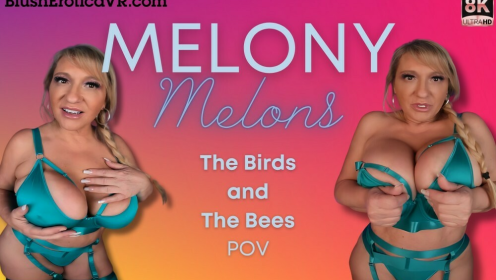 The Birds And The Bees