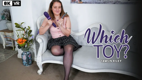 Which Toy?